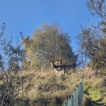 Sowia Chatka- - Z Jacuzzi Stryszawa